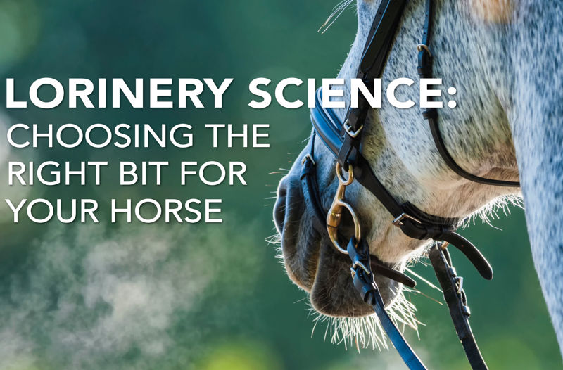 Lorinery Science: Choosing the Right Bit for Your Horse